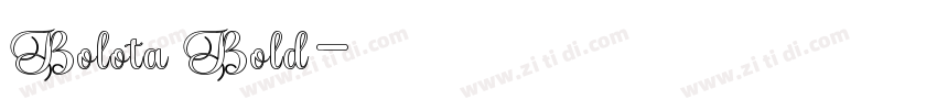 Bolota Bold字体转换